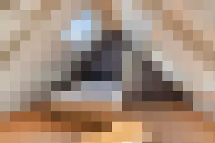 Dag Hammarskjöldlaan 44 Hellevoetsluis thumbnail 30