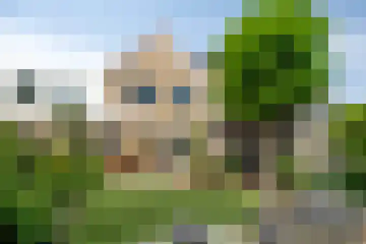 Dag Hammarskjöldlaan 44 Hellevoetsluis thumbnail 33
