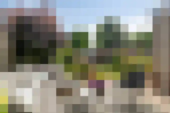 Dag Hammarskjöldlaan 44 Hellevoetsluis thumbnail 35