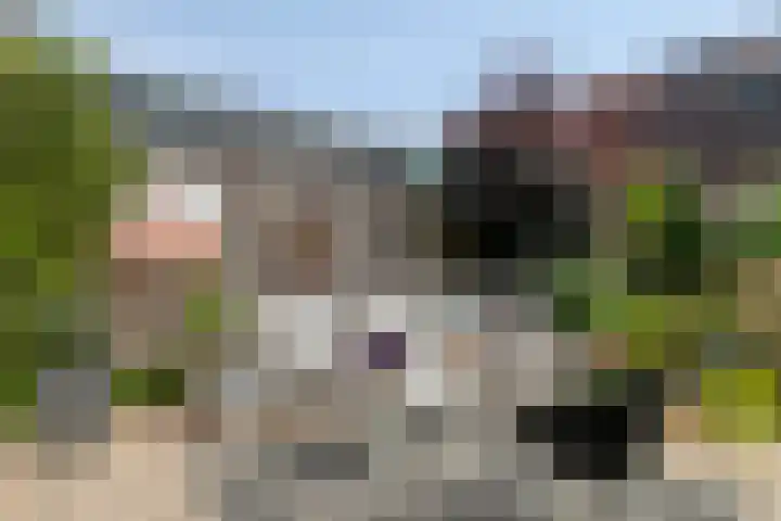 Dag Hammarskjöldlaan 44 Hellevoetsluis thumbnail 36
