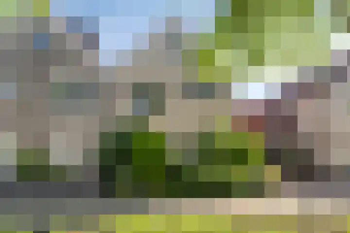 Dag Hammarskjöldlaan 44 Hellevoetsluis thumbnail 38