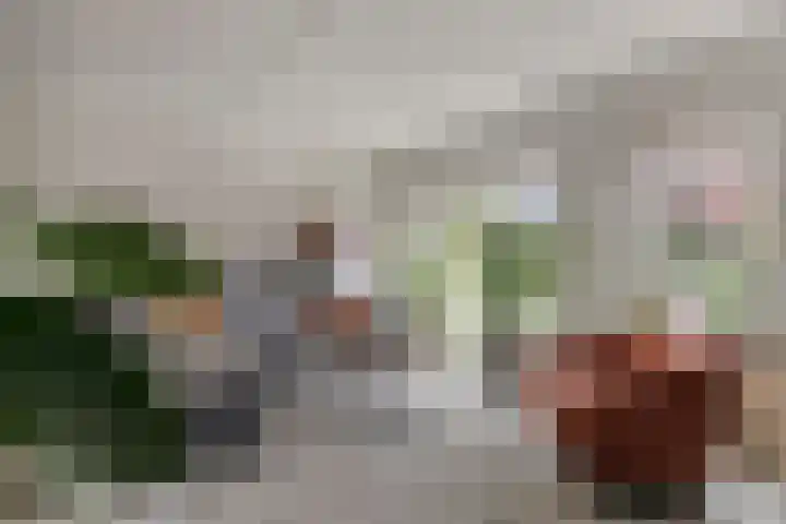 Dag Hammarskjöldlaan 44 Hellevoetsluis thumbnail 4