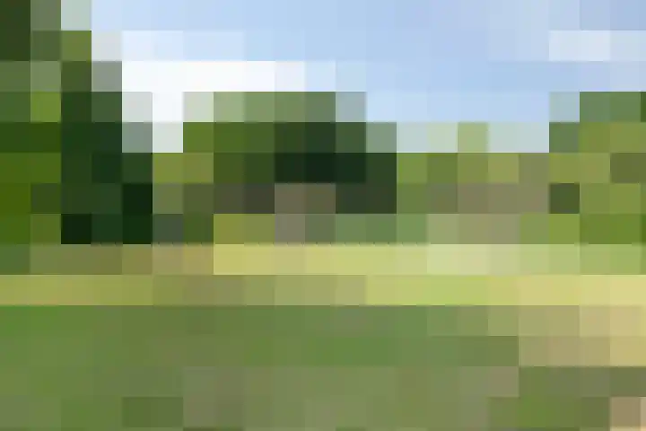 Dag Hammarskjöldlaan 44 Hellevoetsluis thumbnail 40