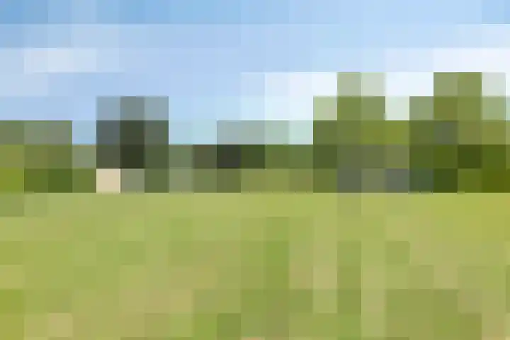 Dag Hammarskjöldlaan 44 Hellevoetsluis thumbnail 41