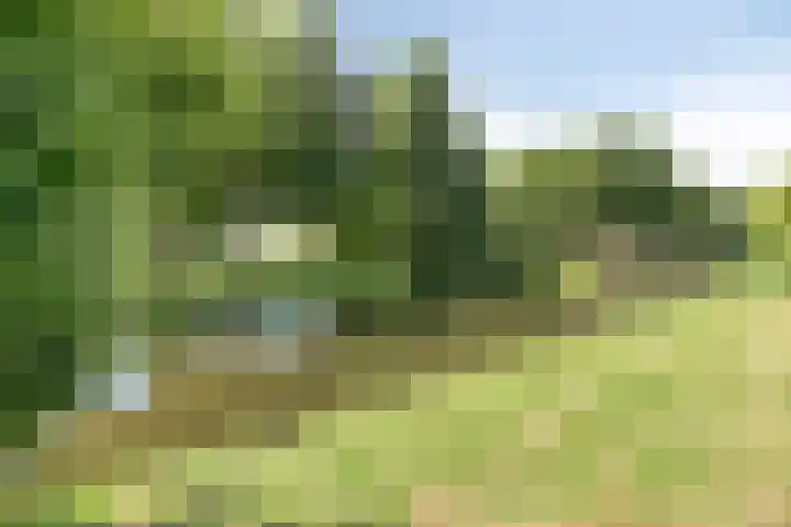 Dag Hammarskjöldlaan 44 Hellevoetsluis thumbnail 42