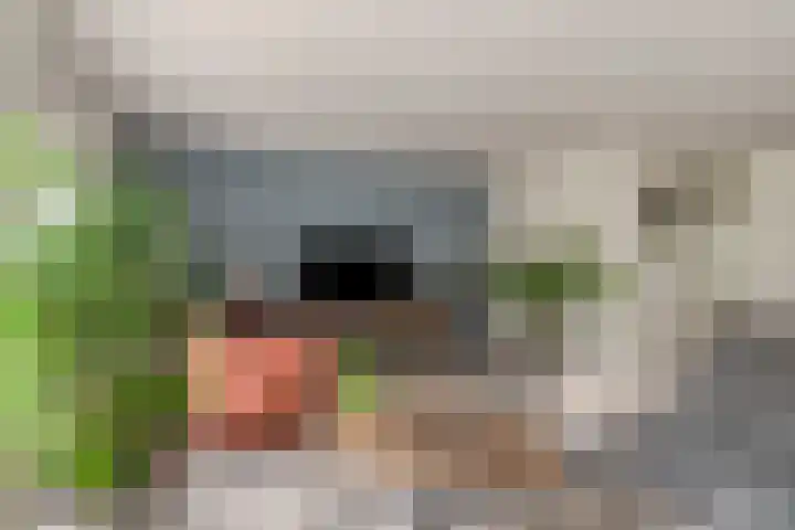 Dag Hammarskjöldlaan 44 Hellevoetsluis thumbnail 5