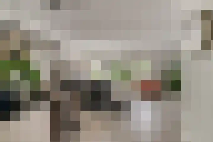 Dag Hammarskjöldlaan 44 Hellevoetsluis thumbnail 8