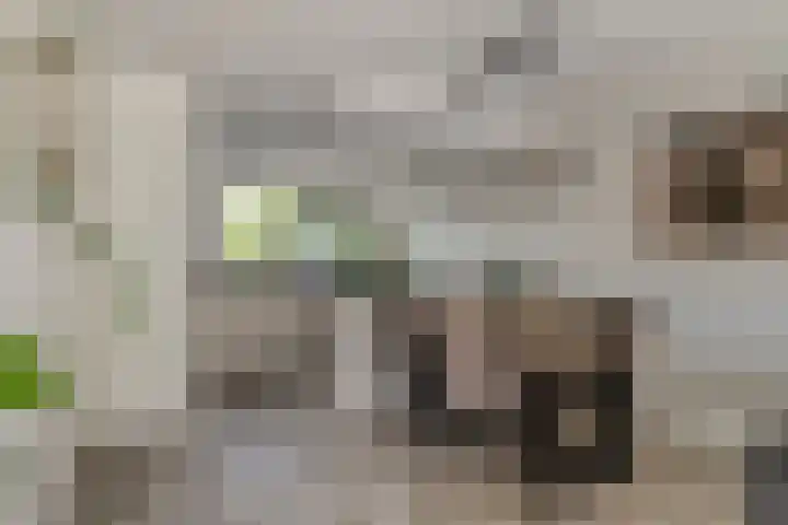 Dag Hammarskjöldlaan 44 Hellevoetsluis thumbnail 9