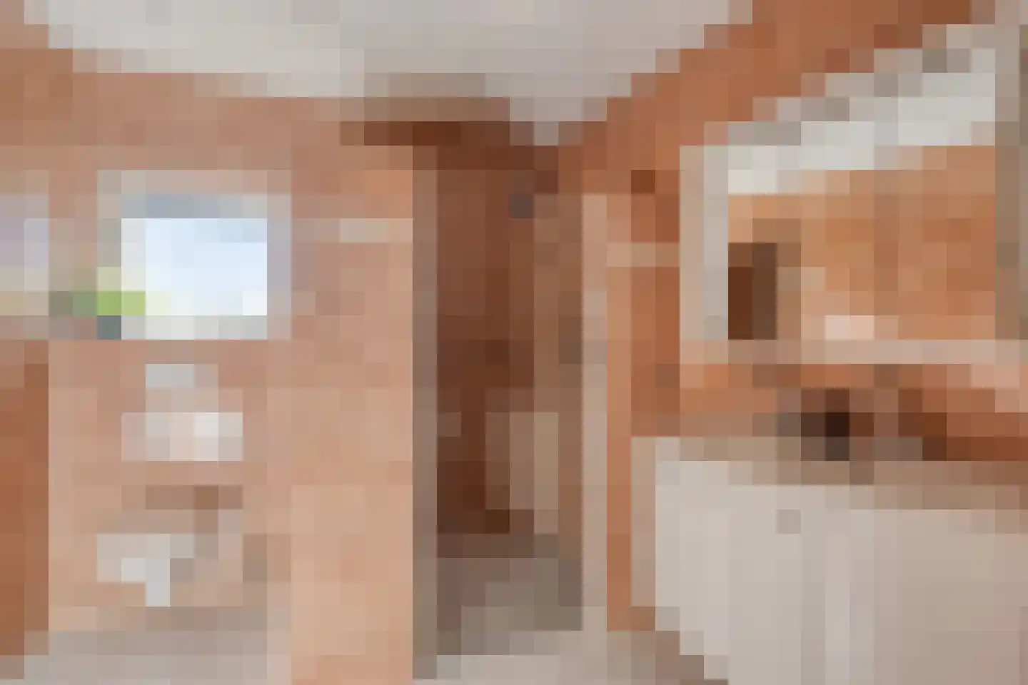 Dag Hammarskjöldlaan 67 Castricum thumbnail 13