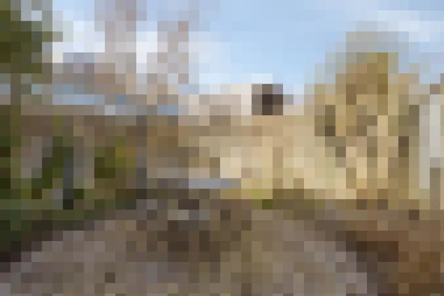 Dag Hammarskjöldlaan 67 Castricum thumbnail 16