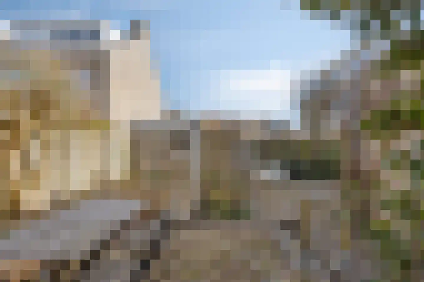 Dag Hammarskjöldlaan 67 Castricum thumbnail 17
