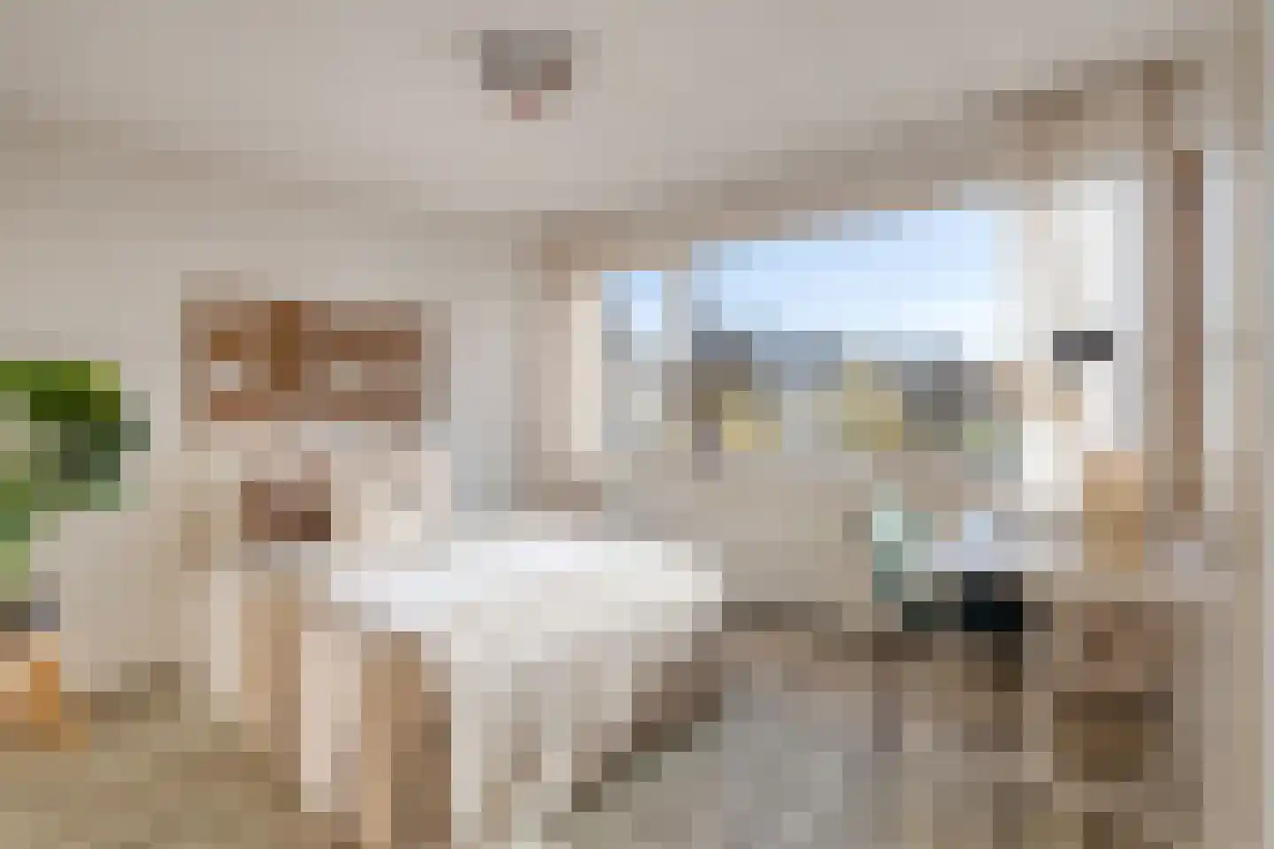 Dag Hammarskjöldlaan 67 Castricum thumbnail 24