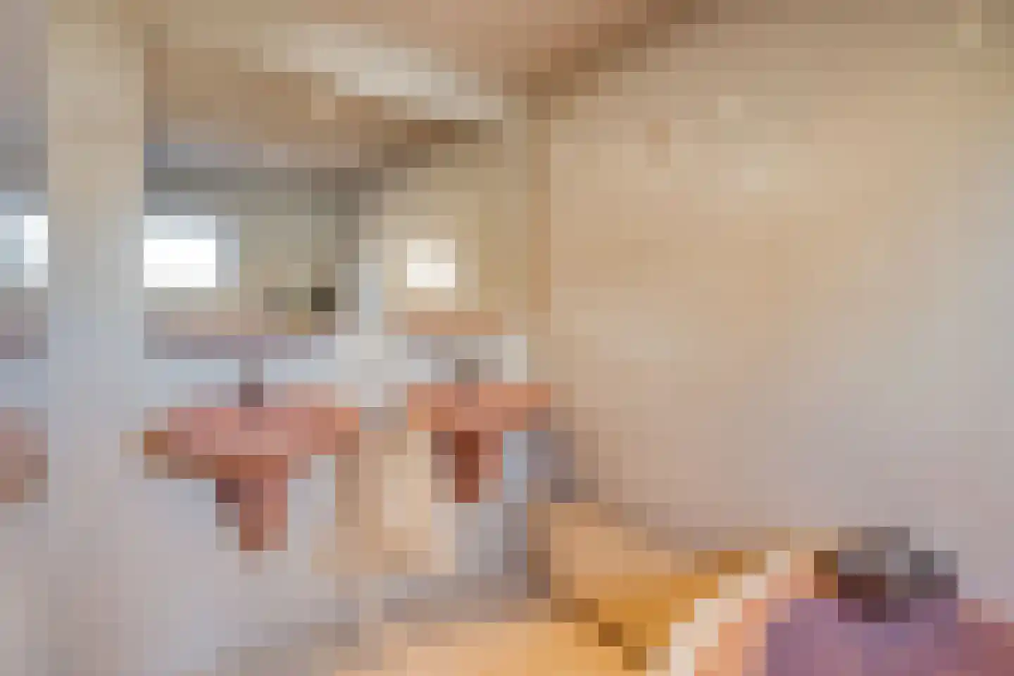 Dag Hammarskjöldlaan 67 Castricum thumbnail 28