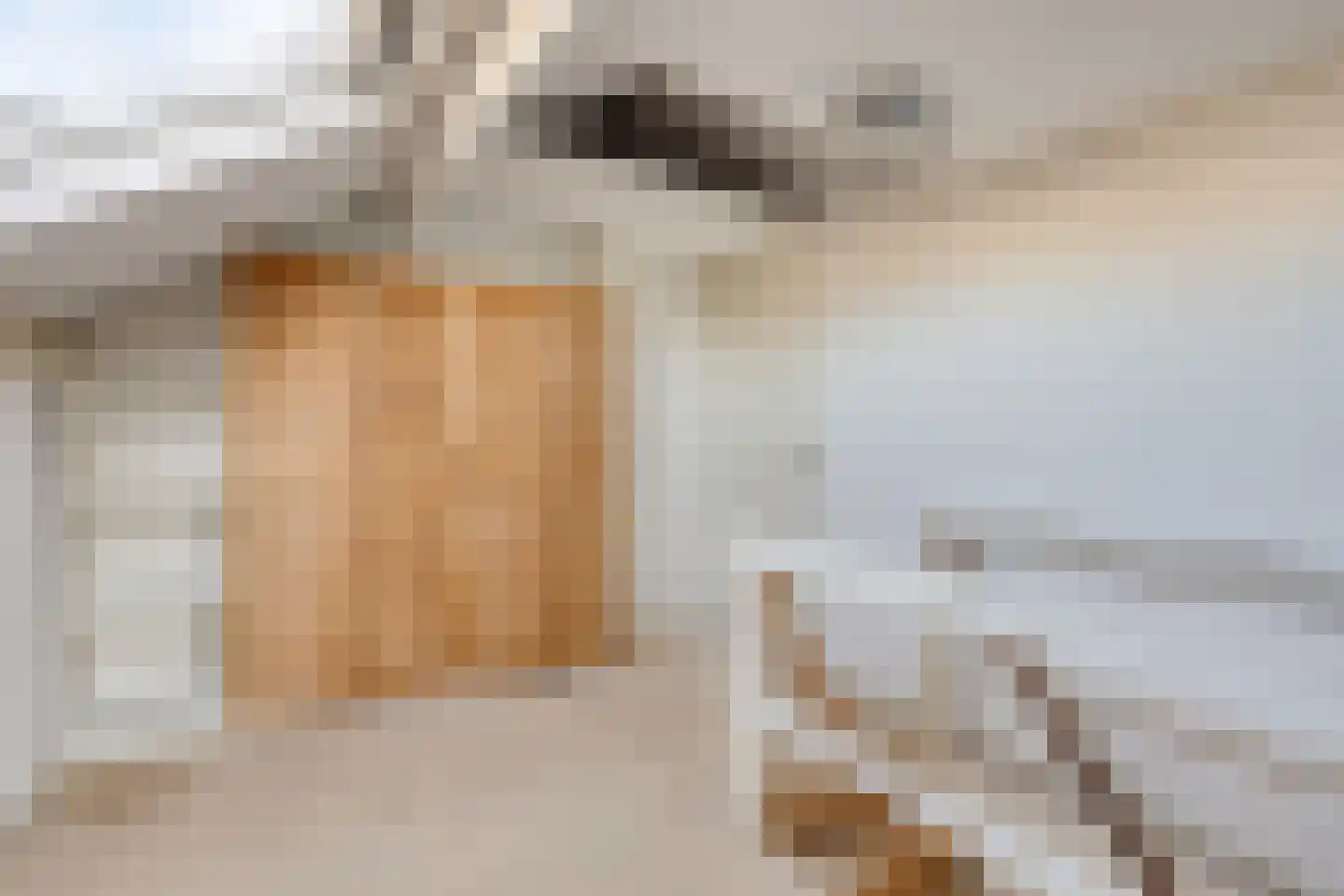 Dag Hammarskjöldlaan 67 Castricum thumbnail 29