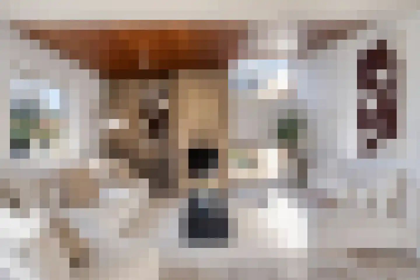Dag Hammarskjöldlaan 67 Castricum thumbnail 5