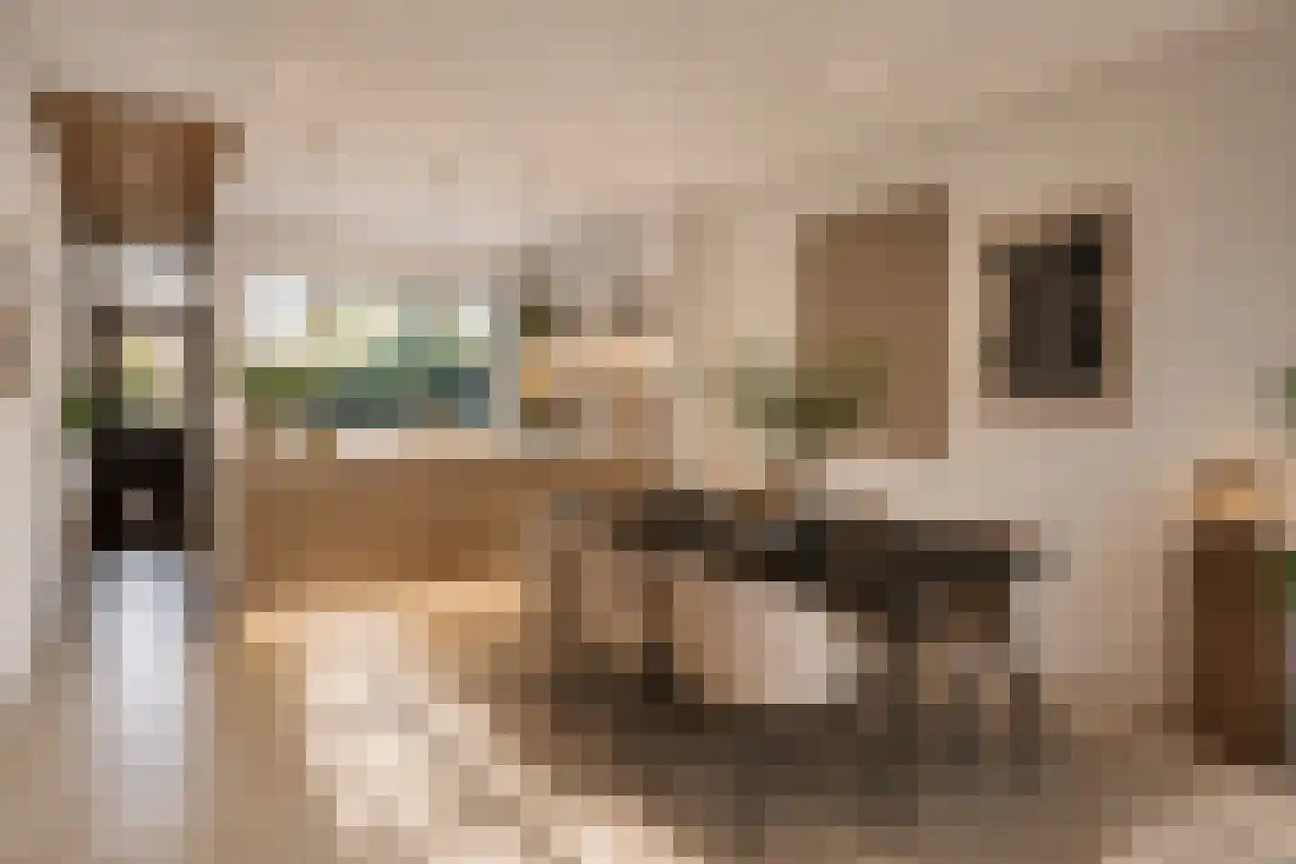 Dag Hammarskjöldlaan 67 Castricum thumbnail 5