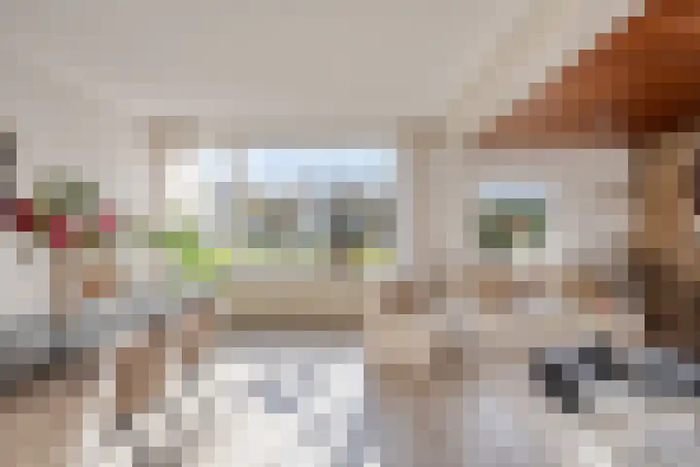 Dag Hammarskjöldlaan 67 Castricum thumbnail 6