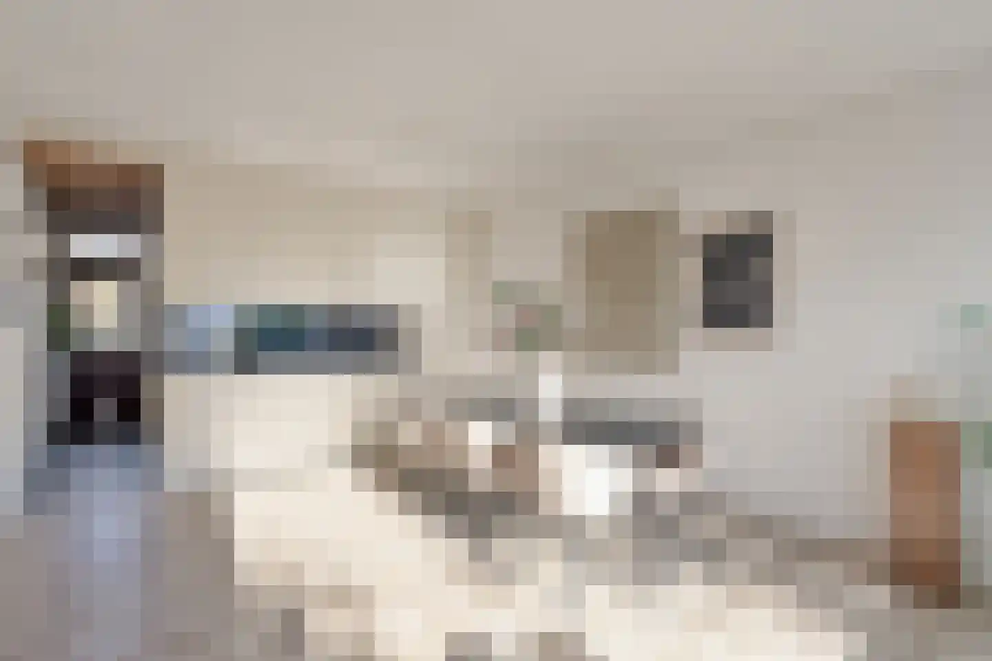 Dag Hammarskjöldlaan 67 Castricum thumbnail 7