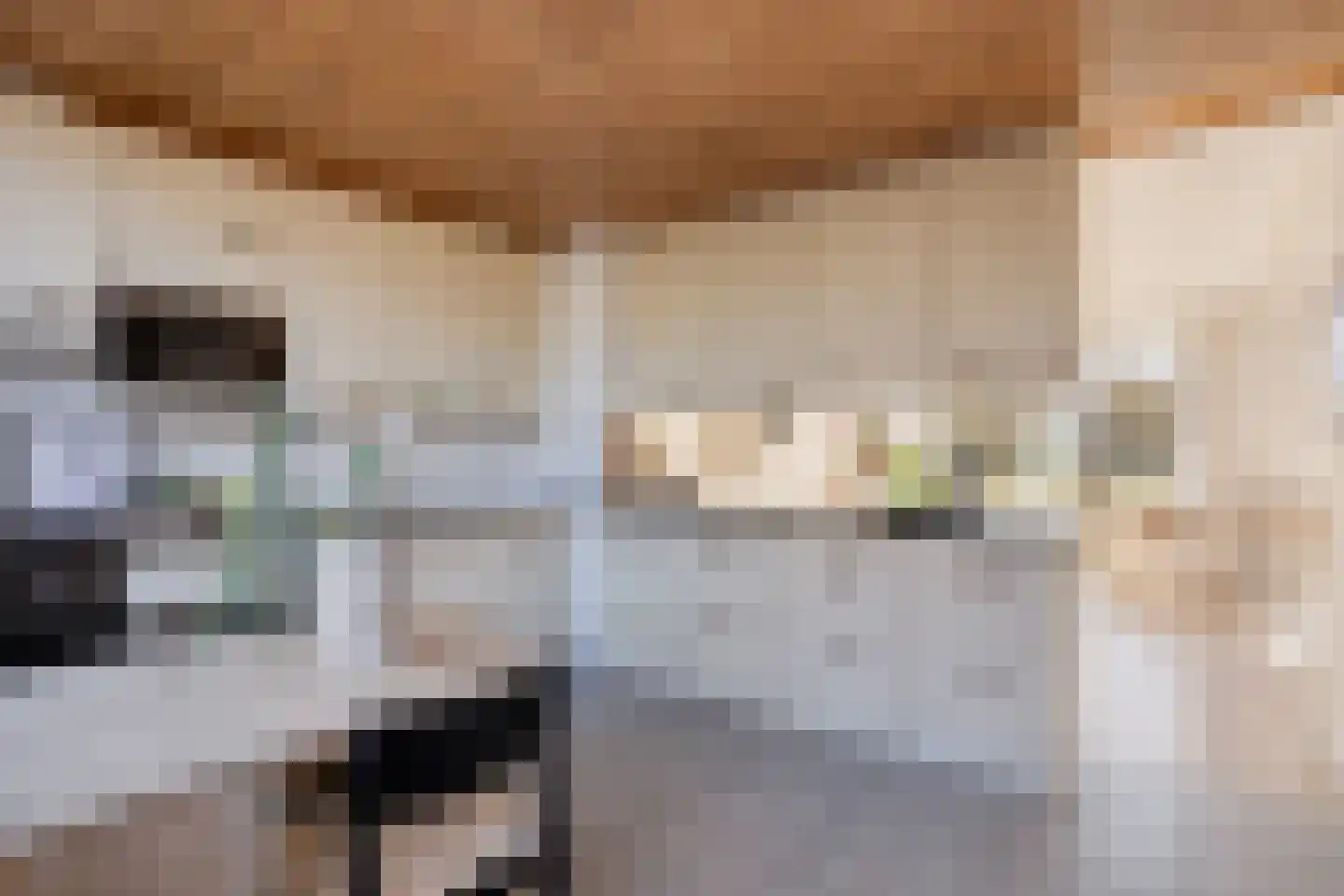 Dag Hammarskjöldlaan 67 Castricum thumbnail 8