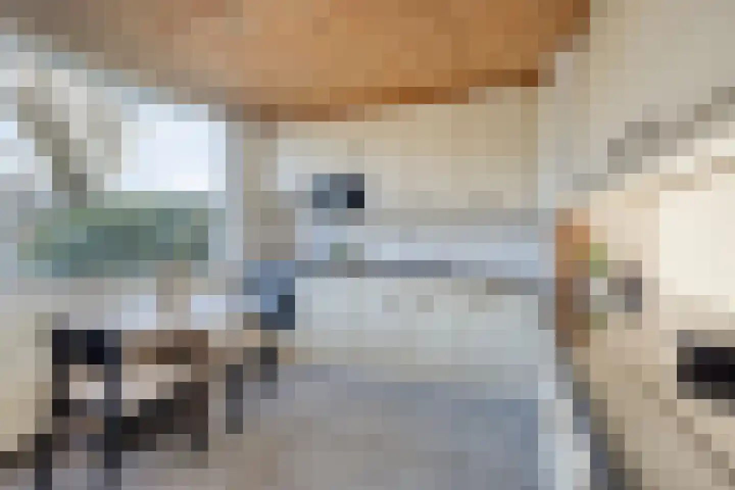 Dag Hammarskjöldlaan 67 Castricum thumbnail 9