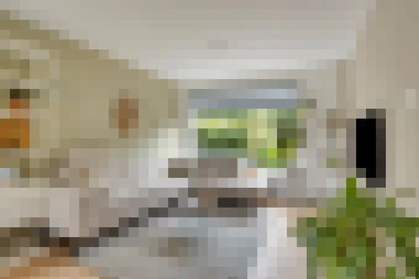 Dag Hammarskjöldlaan 8 Castricum thumbnail 10