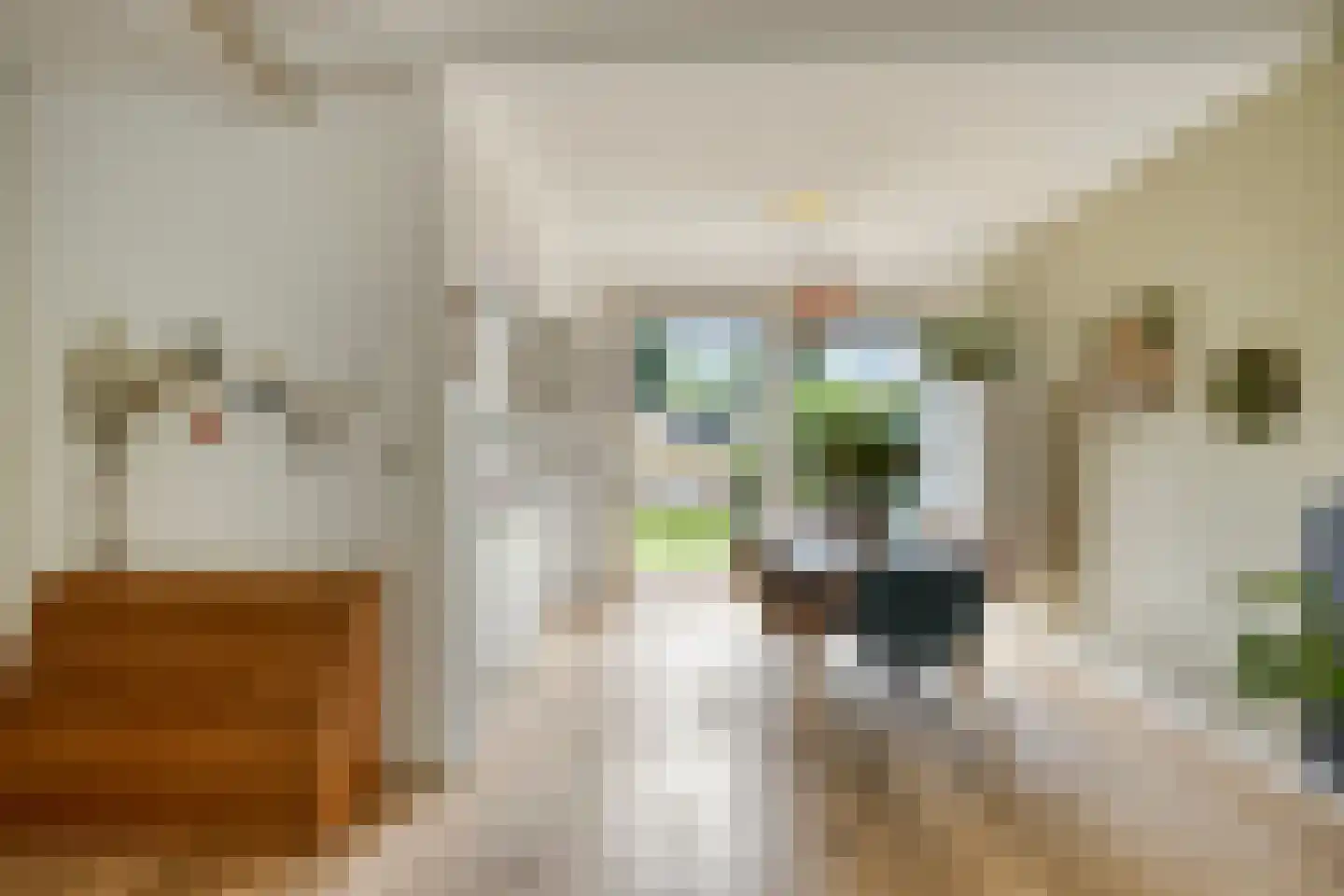 Dag Hammarskjöldlaan 8 Castricum thumbnail 11
