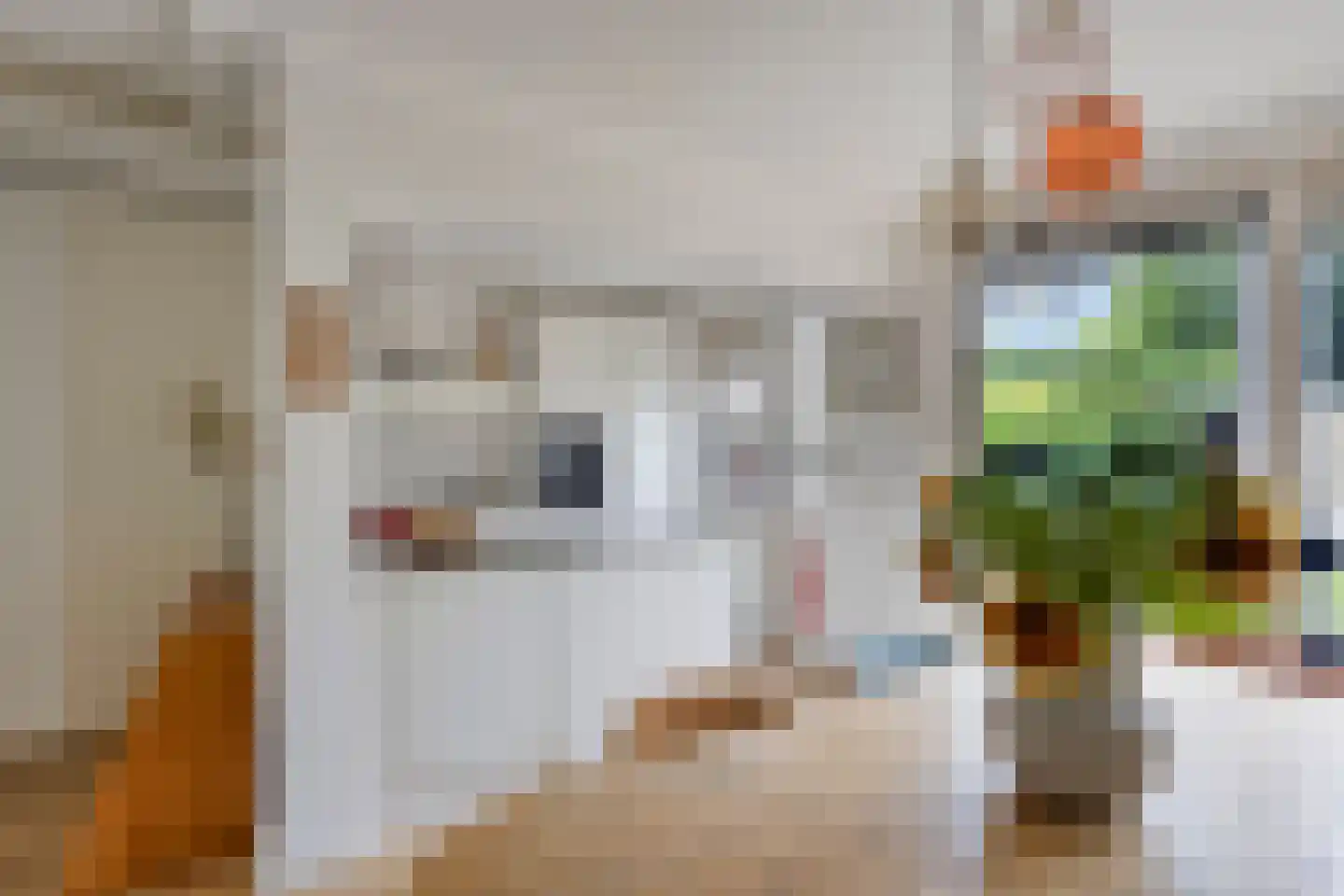 Dag Hammarskjöldlaan 8 Castricum thumbnail 12