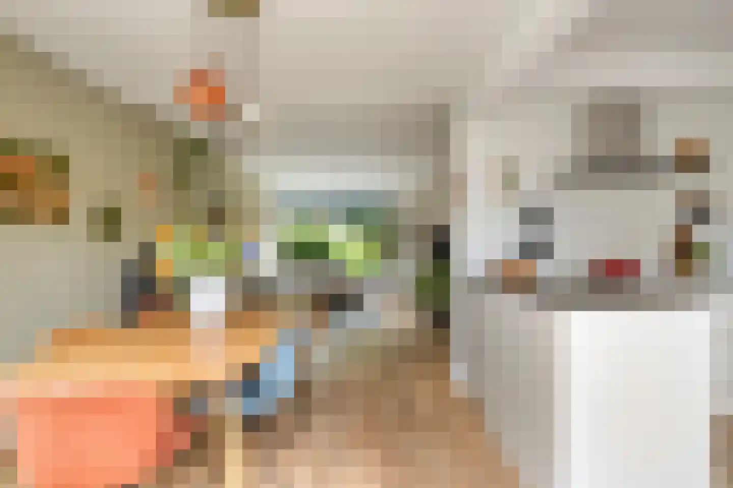 Dag Hammarskjöldlaan 8 Castricum thumbnail 14