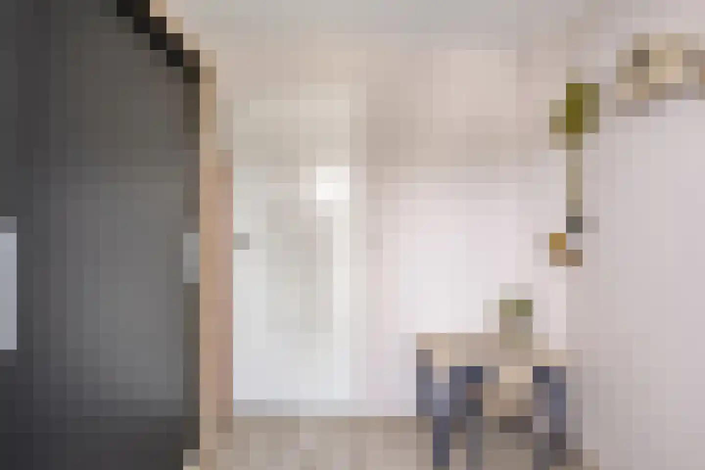 Dag Hammarskjöldlaan 8 Castricum thumbnail 23
