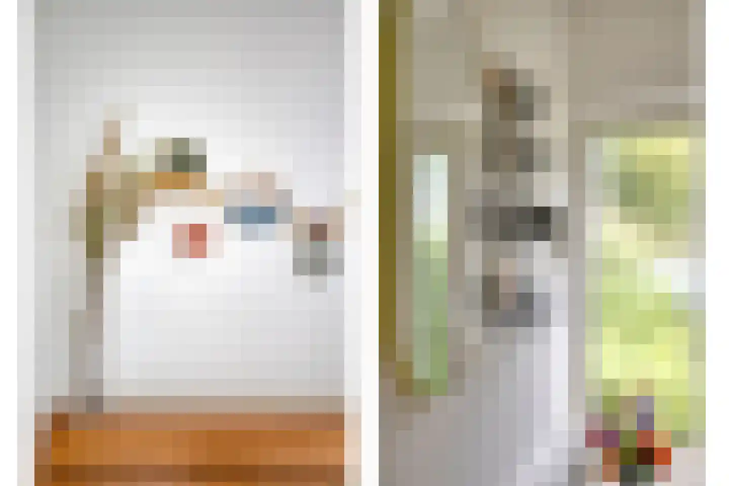 Dag Hammarskjöldlaan 8 Castricum thumbnail 24