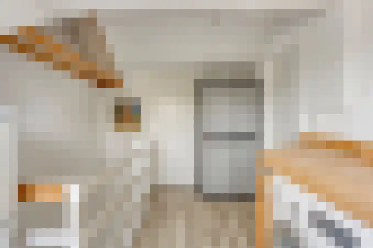 Dag Hammarskjöldlaan 8 Castricum thumbnail 26