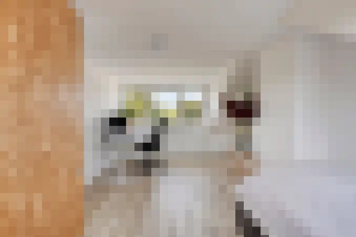 Dag Hammarskjöldlaan 8 Castricum thumbnail 27