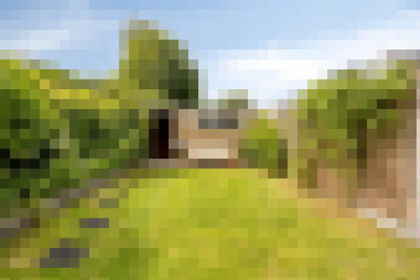 Dag Hammarskjöldlaan 8 Castricum thumbnail 30