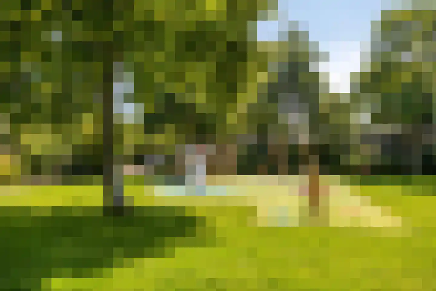 Dag Hammarskjöldlaan 8 Castricum thumbnail 34
