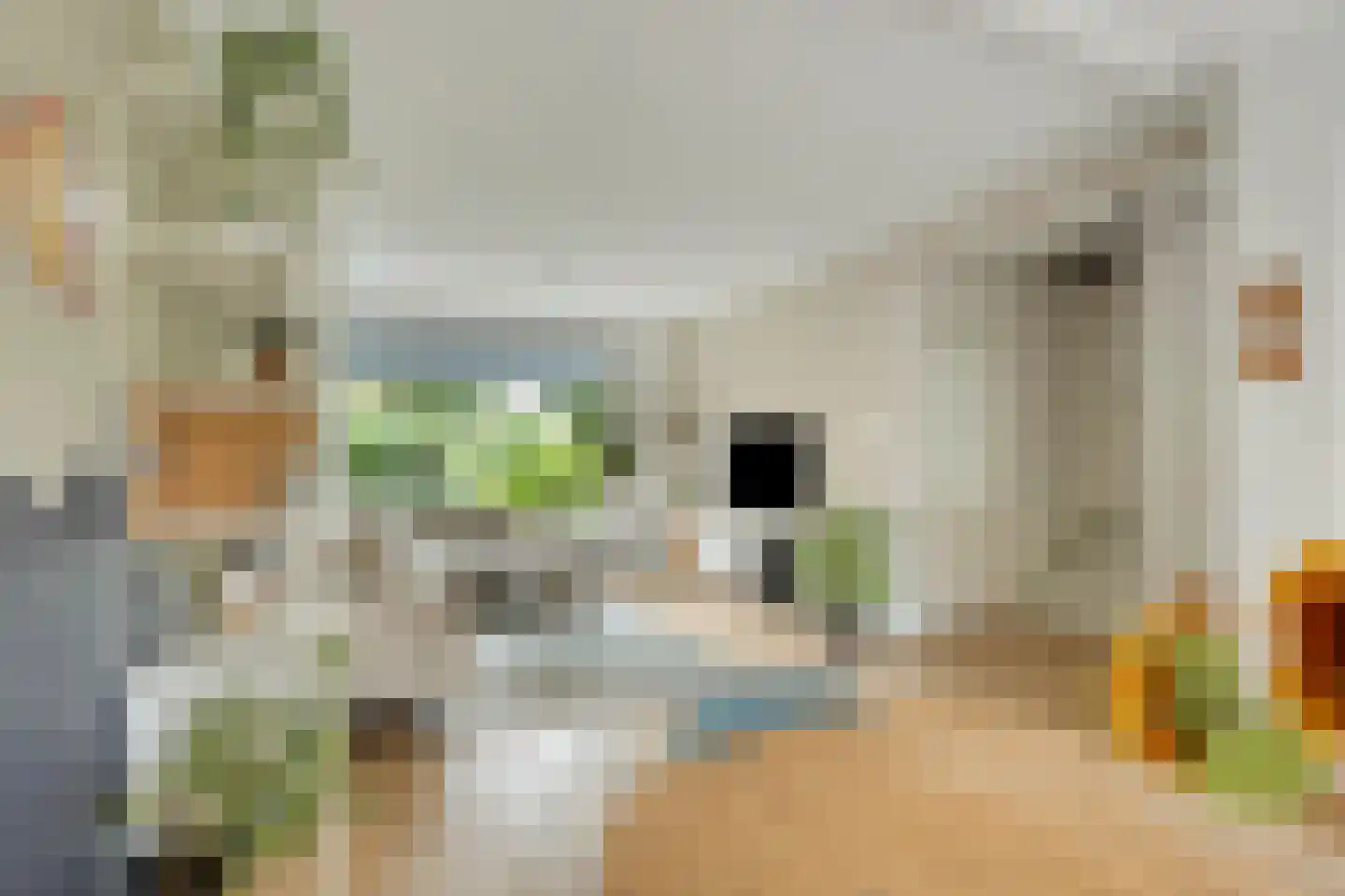 Dag Hammarskjöldlaan 8 Castricum thumbnail 4