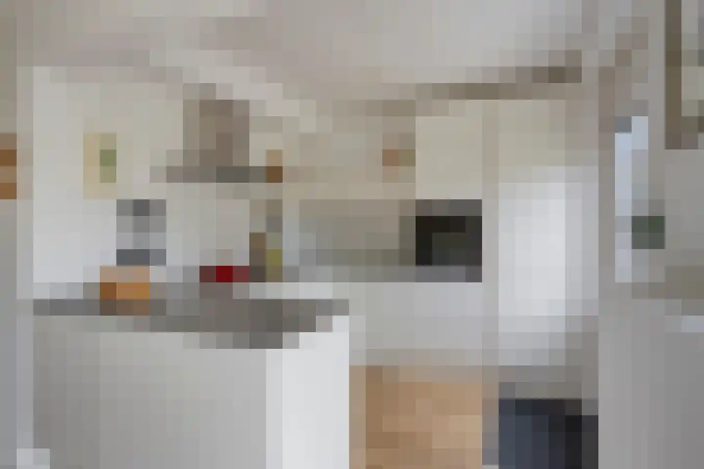 Dag Hammarskjöldlaan 8 Castricum thumbnail 5