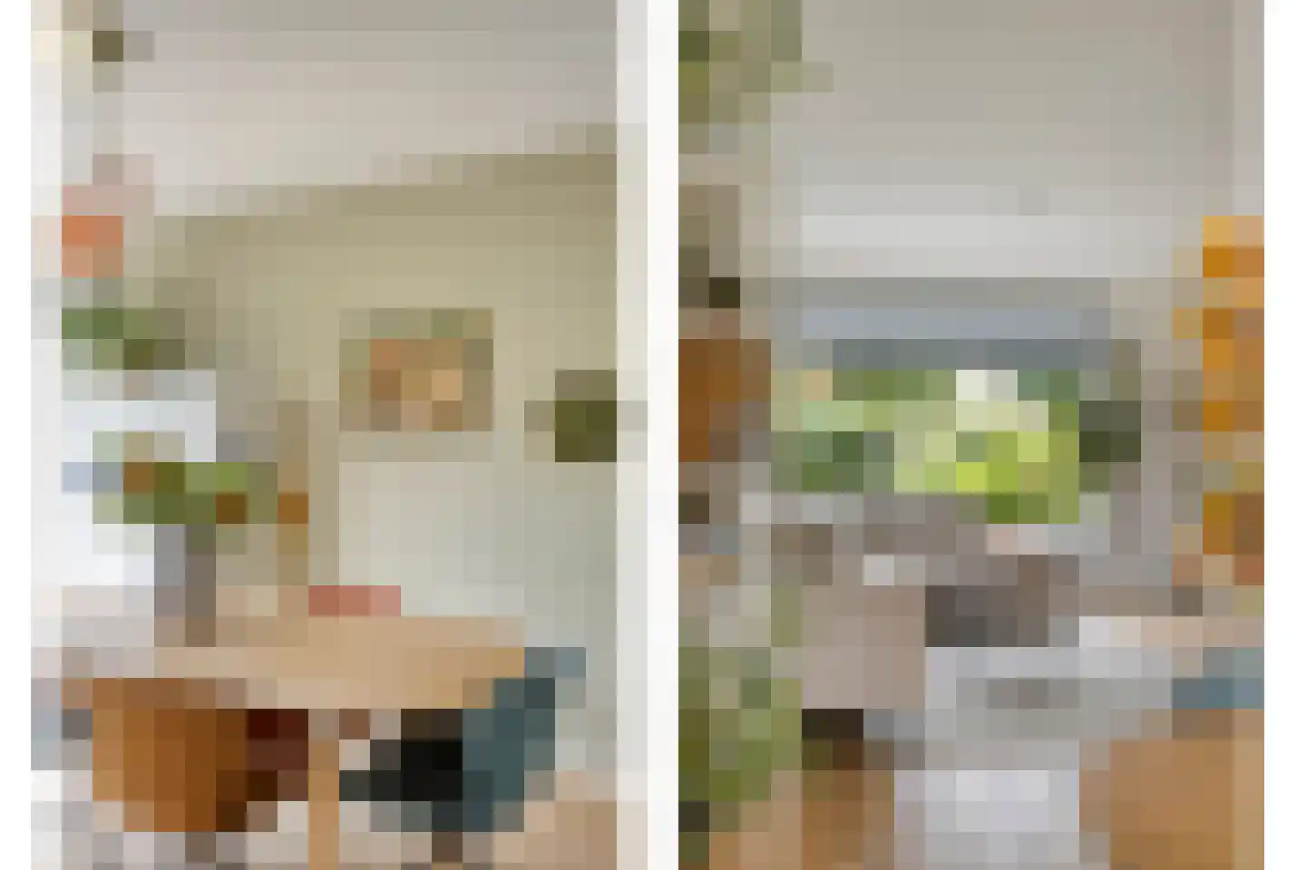 Dag Hammarskjöldlaan 8 Castricum thumbnail 9