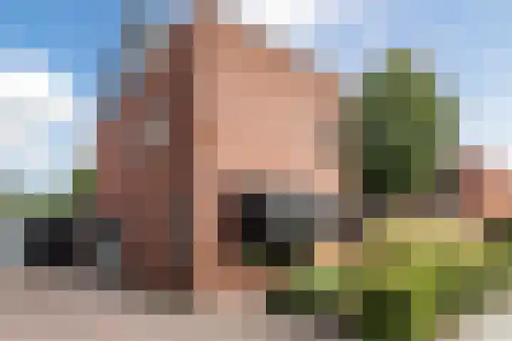 Dageraad 19 Elst