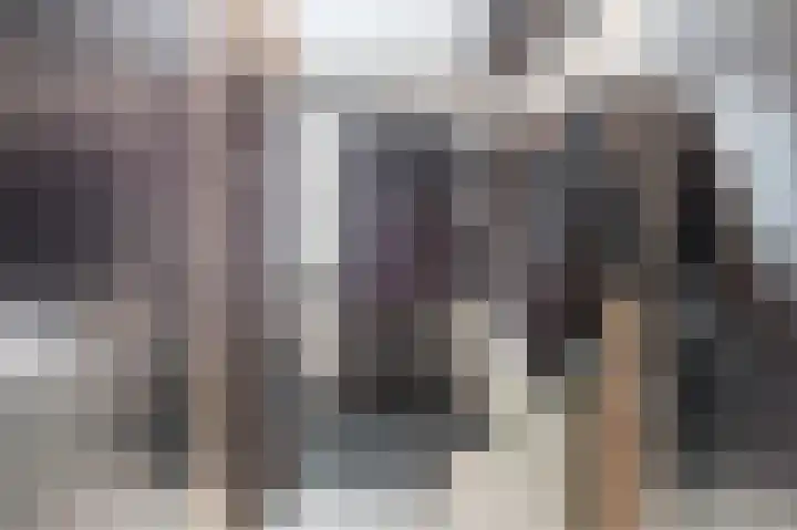 Dageraad 19 Elst thumbnail 18