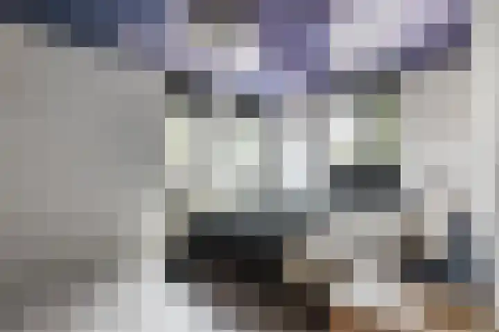 Dageraad 19 Elst thumbnail 20