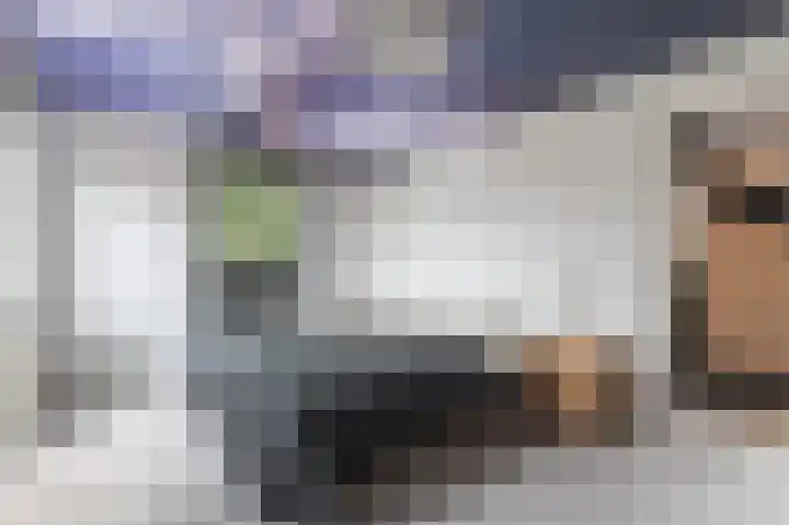 Dageraad 19 Elst thumbnail 21