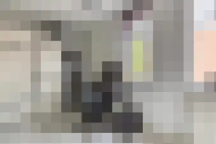 Dageraad 19 Elst thumbnail 24