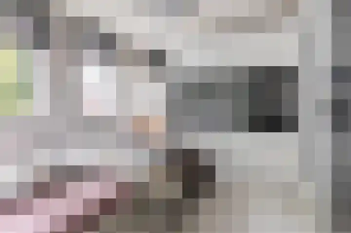 Dageraad 19 Elst thumbnail 26