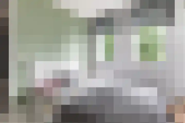 Dageraad 19 Elst thumbnail 27