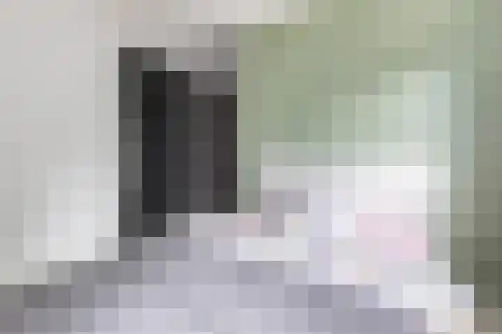 Dageraad 19 Elst thumbnail 28