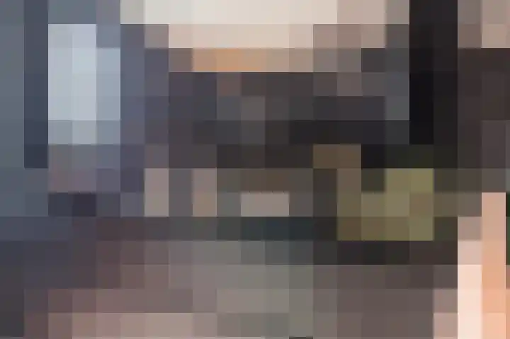 Dageraad 19 Elst thumbnail 30