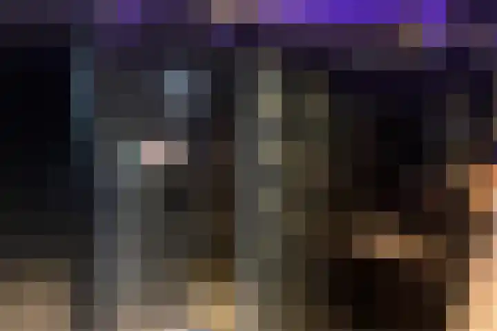 Dageraad 19 Elst thumbnail 32