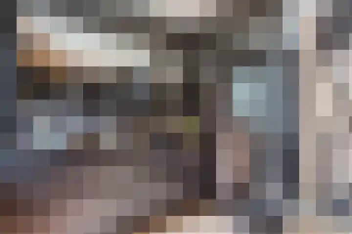 Dageraad 19 Elst thumbnail 33