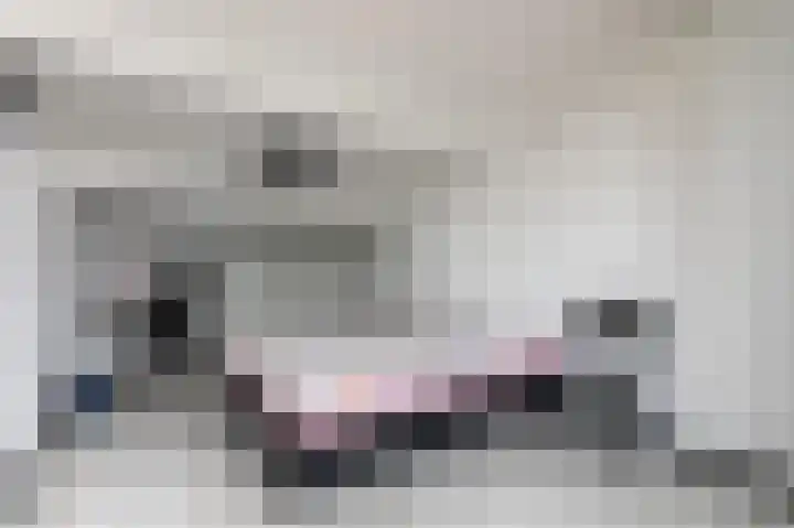 Dageraad 19 Elst thumbnail 34