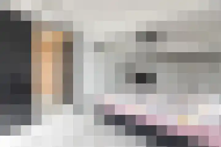 Dageraad 19 Elst thumbnail 35
